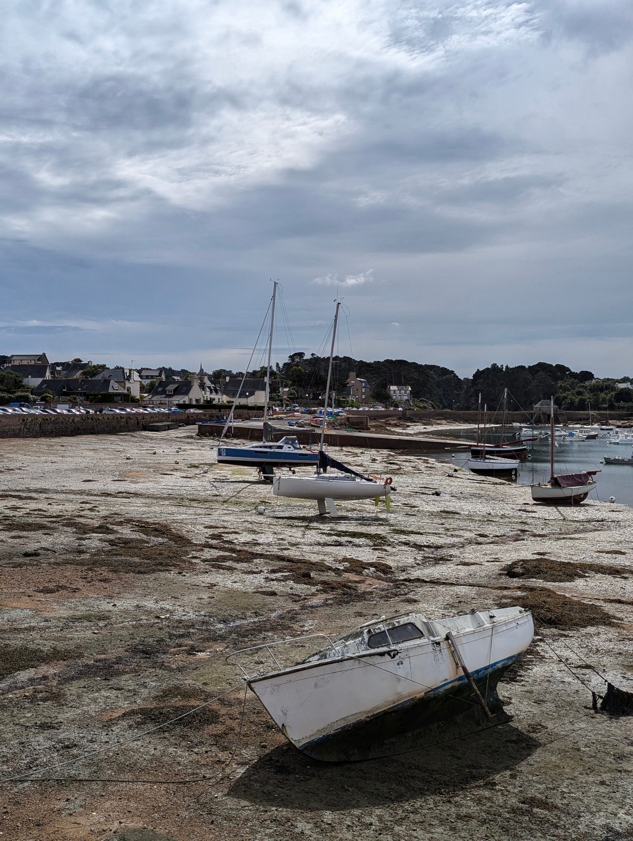 Photo PXL_20240906_110957625.RAW-01.COVER.jpg