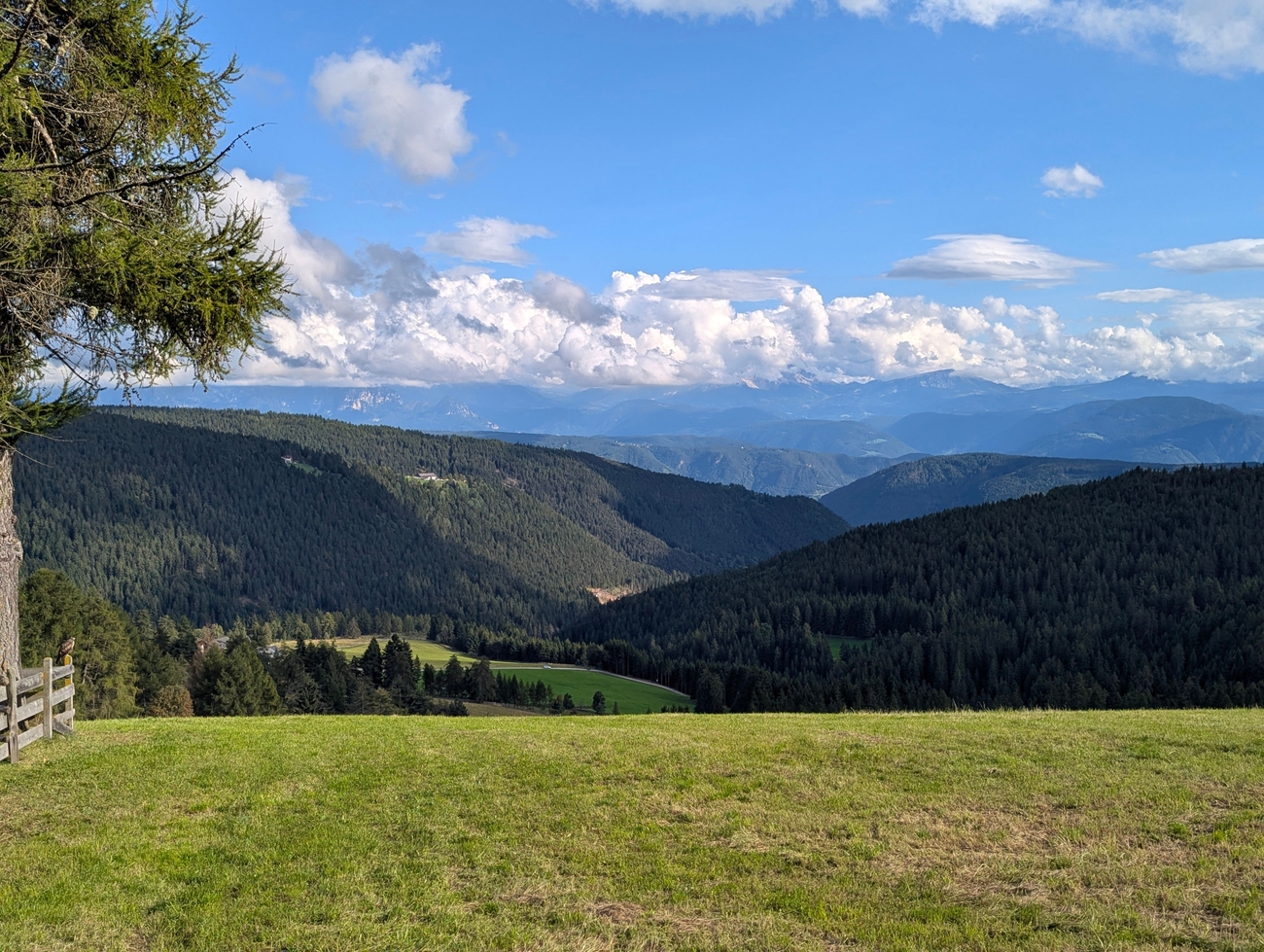 Photo PXL_20250911_144141402.MP.jpg