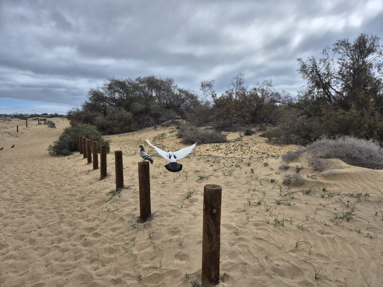 Photo IMG-20260128-WA0003.jpg