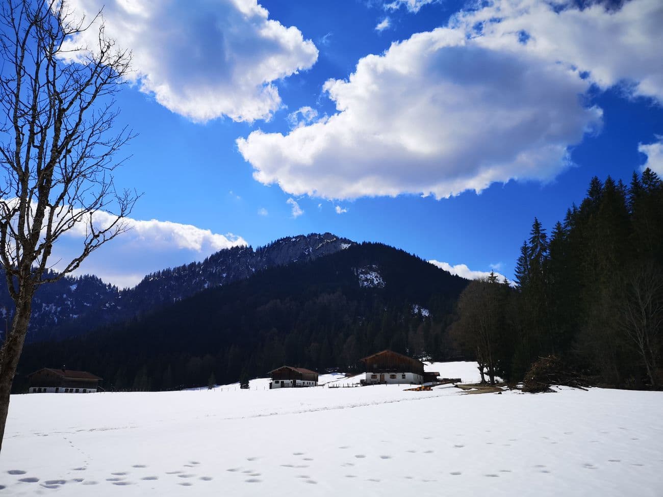 A snow-covered meadow in the Chiemgau Alps with two farmhouses at the treeline, a forested ridge behind and bright cumulus in a deep blue sky.