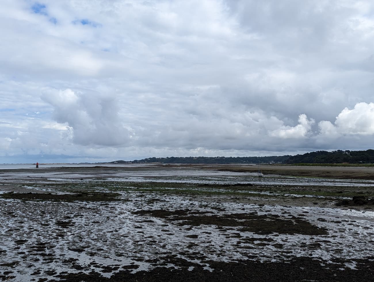 A wide tidal flat at low water, channels and weed-covered rock stretching to a distant red beacon and a grounded yacht.