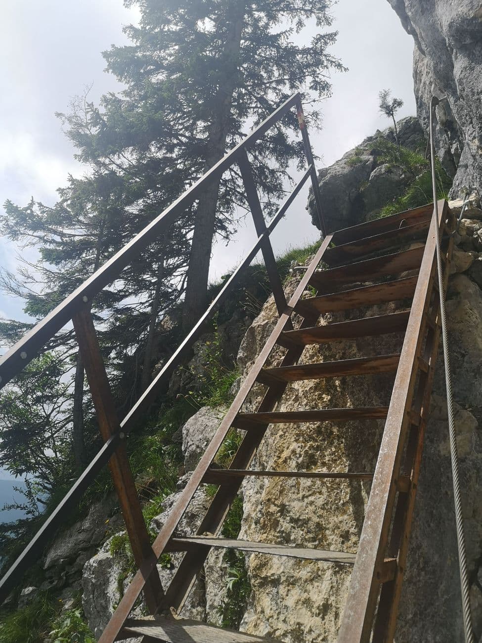 A steep wooden ladder bolted to the rock on the Dr.-Julius-Mayr-Weg, steel safety cable alongside and spruce above.