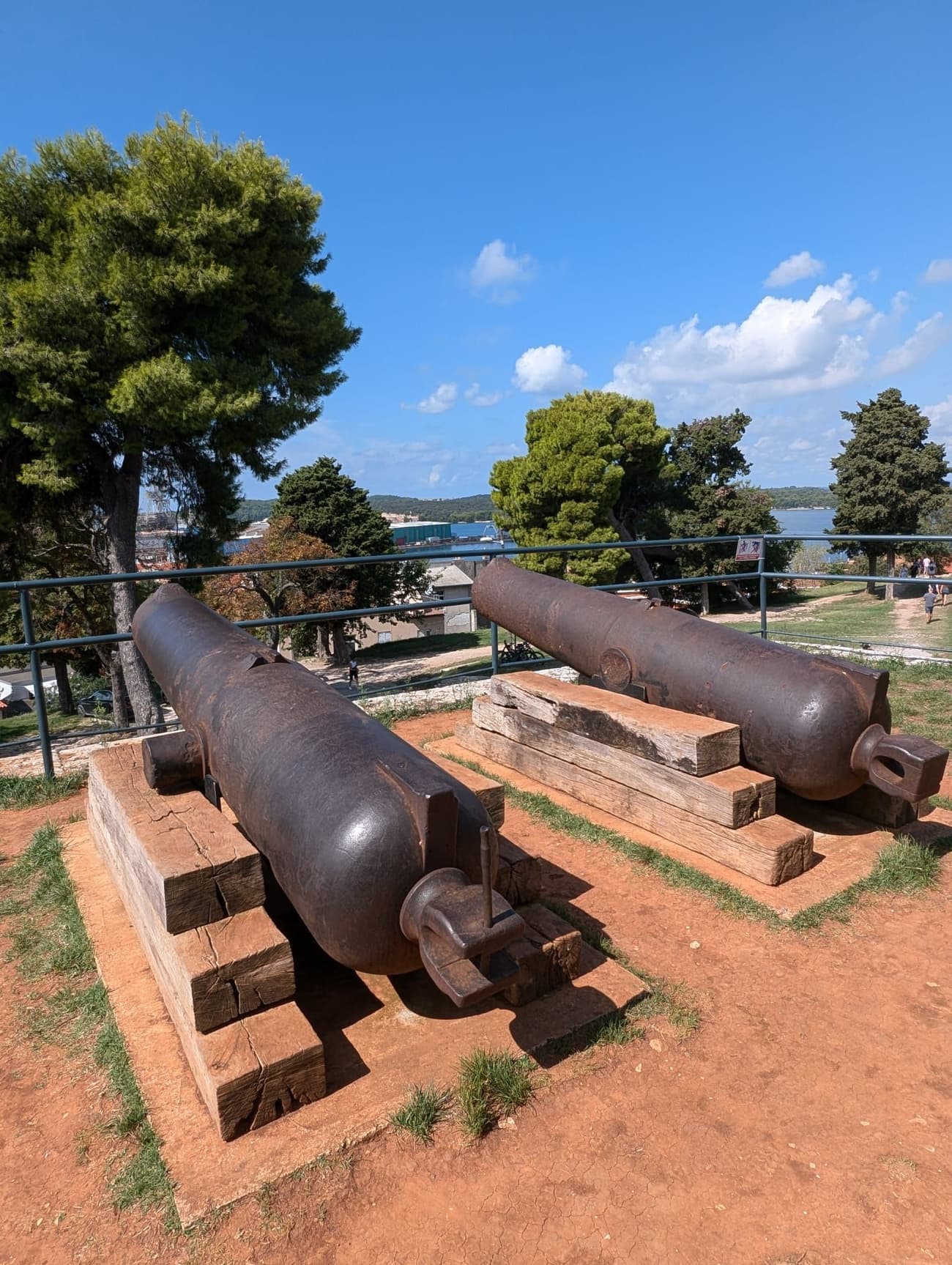 Two heavy iron cannons resting on timber blocks at a hilltop fort, the harbour and wooded coastline visible through the trees.