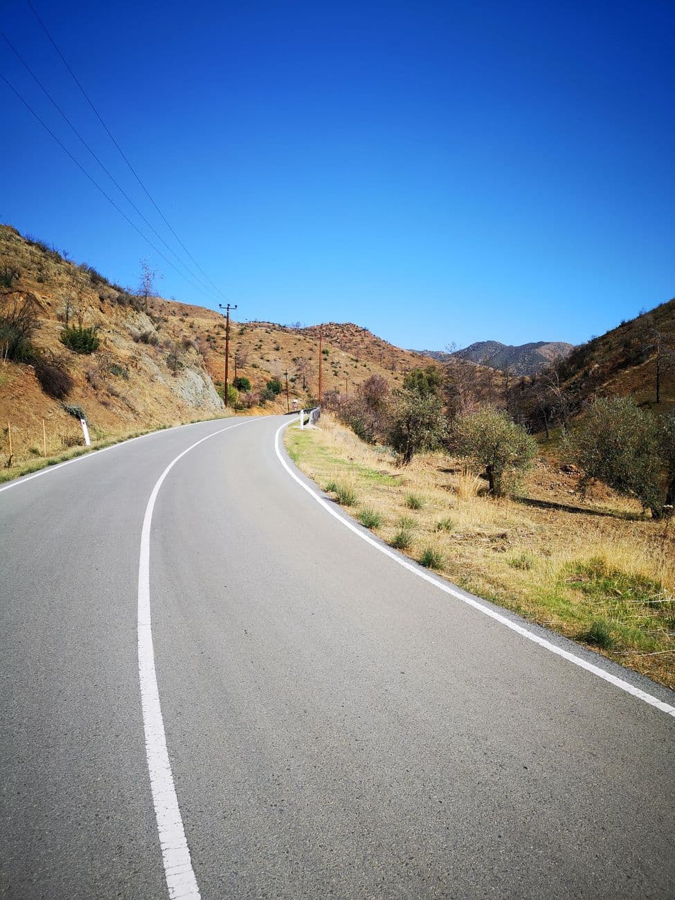 An empty road curving through parched hillsides scattered with olive trees under a deep blue sky.
