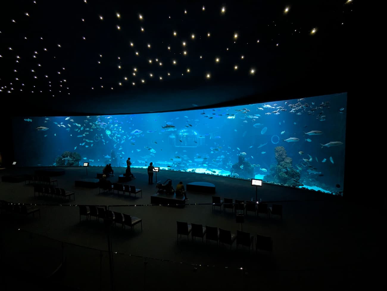 A darkened aquarium hall with pinprick lights in the ceiling, visitors dwarfed by a wide curved viewing window full of fish.