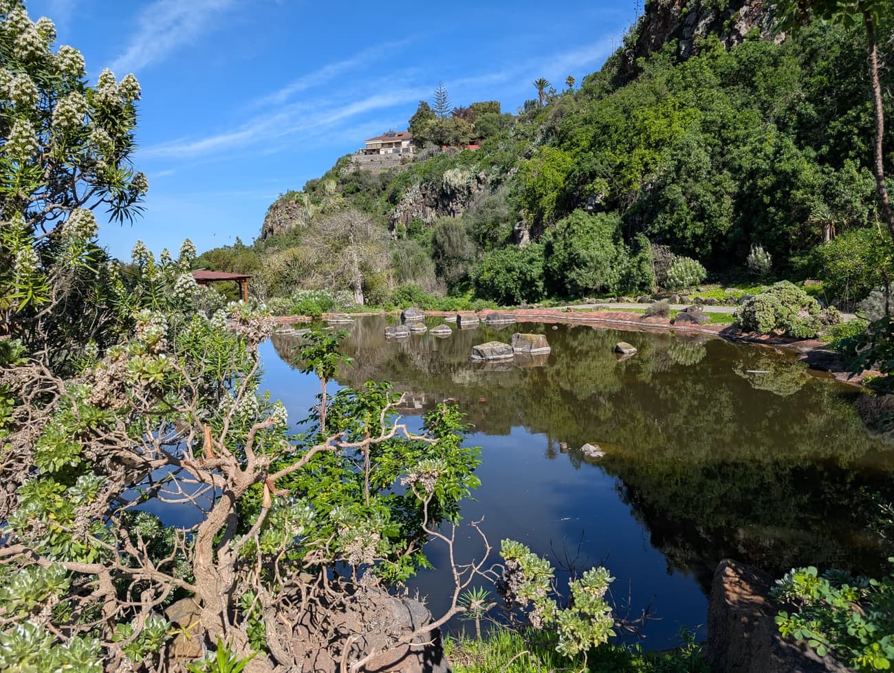 A still pond in a botanical garden reflecting the sky, ringed by succulents and echium, with a house perched on the rock bluff above.