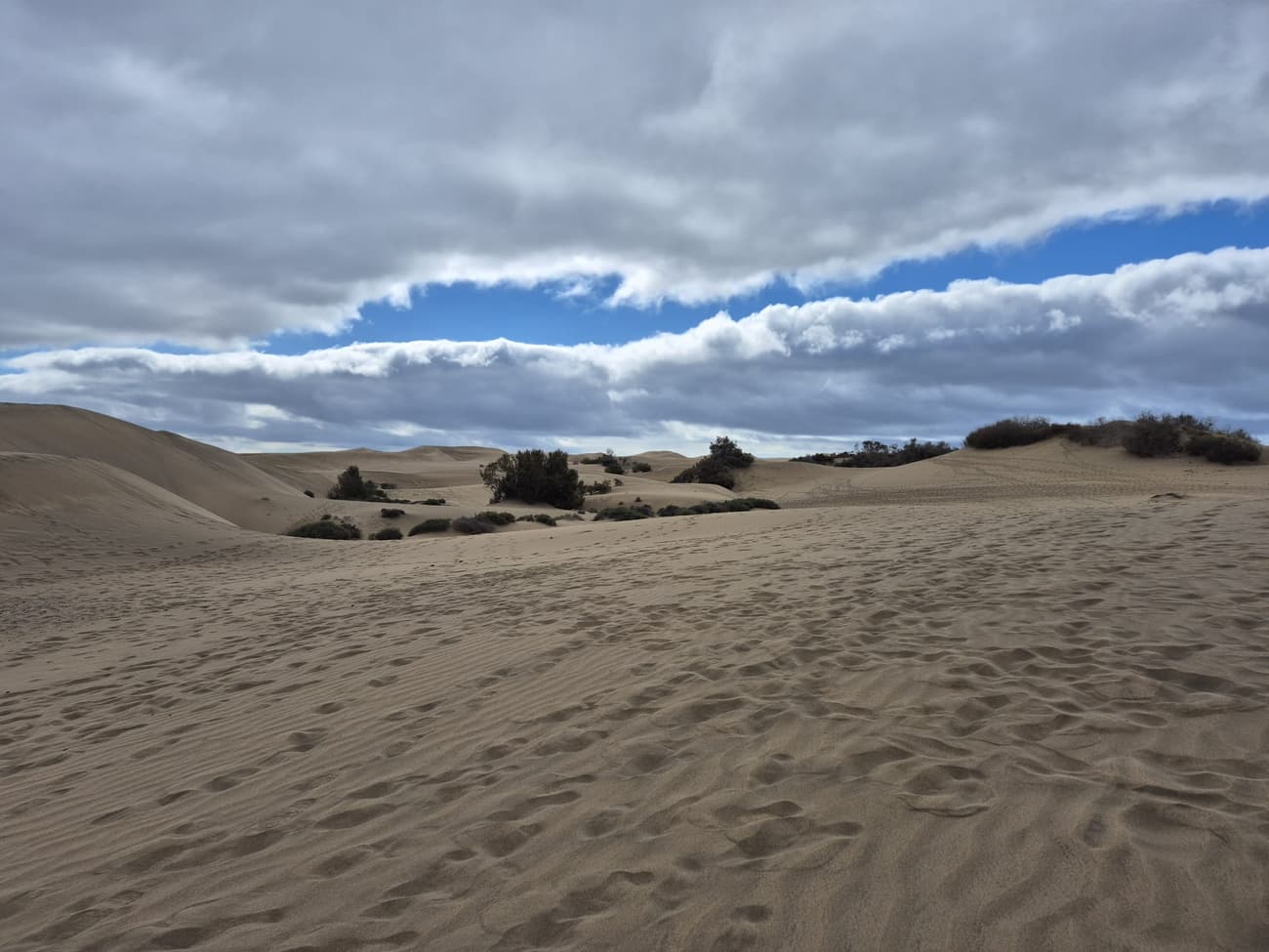 The Maspalomas dunes: rippled sand stretching to low scrub-topped ridges under a broken bank of cloud.