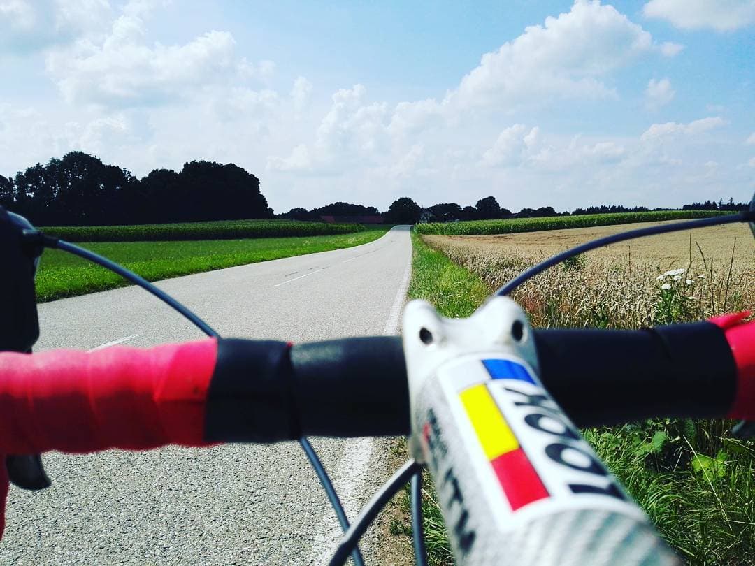 Handlebar view from a road bike with red bar tape, looking down an empty country lane between a green maize field and ripening wheat.