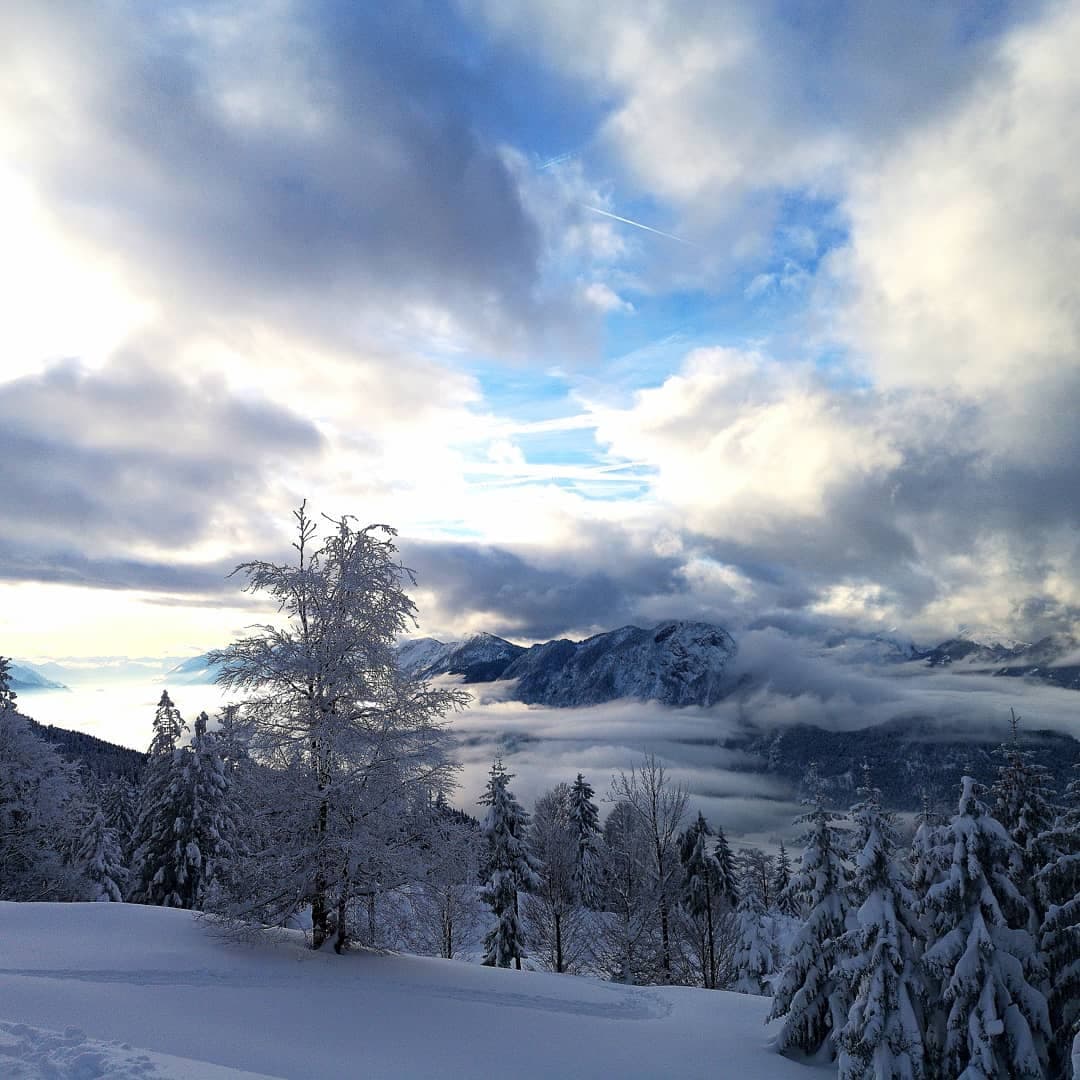 Snow-laden trees on a ski tour above the Inntal, a sea of cloud filling the valley with dark peaks rising beyond.