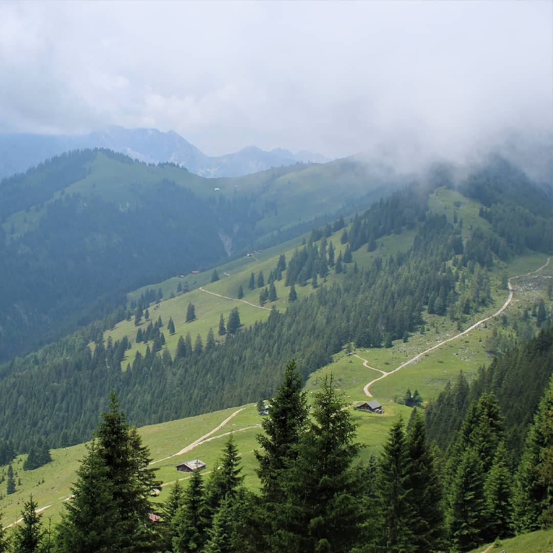 Low cloud drifting over the green alpine pastures of the Brünnstein, a gravel path winding up the ridge past scattered spruce and farm huts.