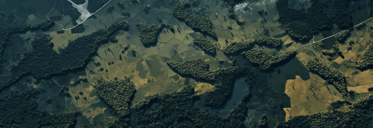 Access High-Resolution Satellite Imagery with Ease - Satellite Imagery Download Options